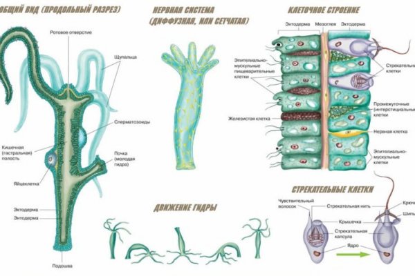 Площадка кракен kraken clear com