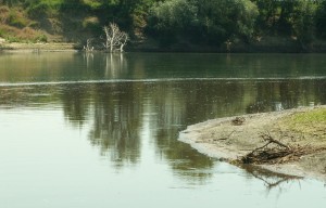 Купон кракен даркнет